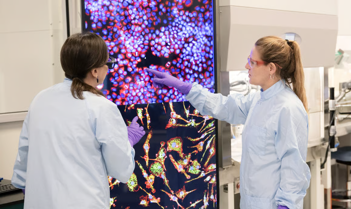 Inside Hibsago's Approval: A Finite RNA Therapy for Chronic Hepatitis B