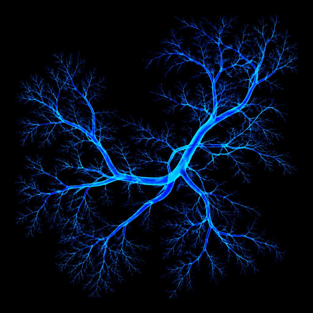 Tumor angiogenesis, the vascular escape route that CD105 blockade is designed to close.